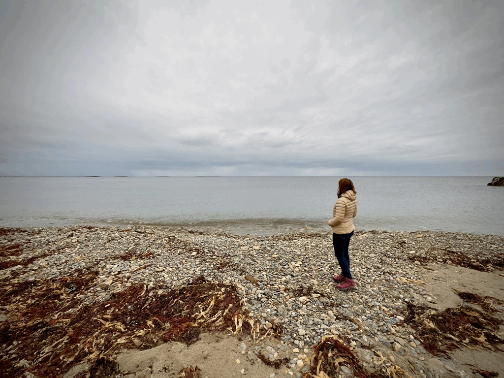 Bannow Gallery